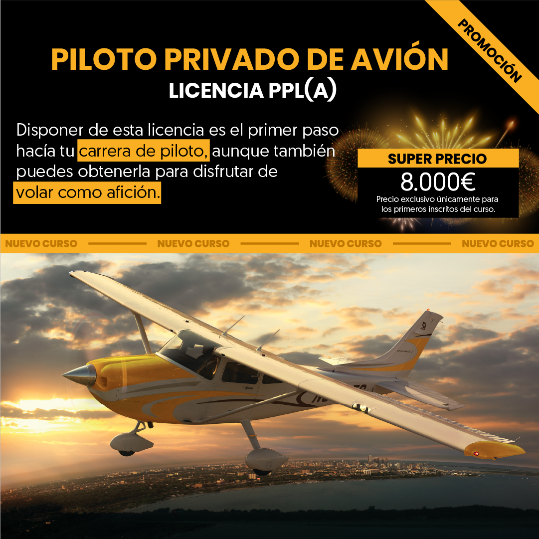 Banner Piloto Privado 1x1